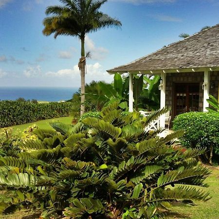 Ottleys Plantation Inn Cayon Kültér fotó