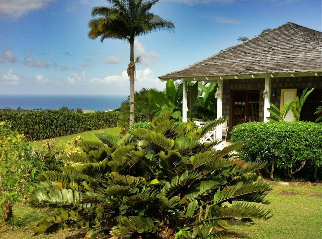 Ottleys Plantation Inn Cayon Kültér fotó